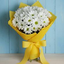 Букет цветов из:  Хризантемы #REPLACE_PRED# Кондопоге