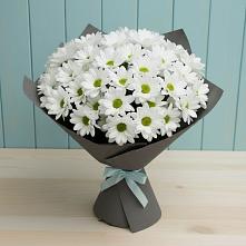 Букет цветов из:  Хризантемы в Кондопоге