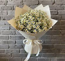 Букет цветов из:  Ромашки в Кондопоге