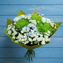 Букет цветов из:  Хризантемы #REPLACE_PRED# Кондопоге