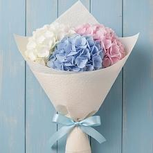 Букет цветов из:  Гортензия в Кондопоге