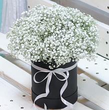 Цветочная композиция из Гипсофила в шляпной коробке #REPLACE_PRED# Кондопоге