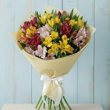 Букет цветов из:  Альстромерии в Кондопоге