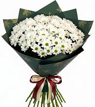Букет цветов из:  Хризантемы #REPLACE_PRED# Кондопоге