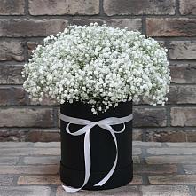 Цветочная композиция из Гипсофила в шляпной коробке в Кондопоге