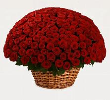 Премиум букет из: Розы в Кондопоге