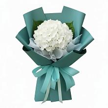 Букет цветов из:  Гортензия #REPLACE_PRED# Кондопоге